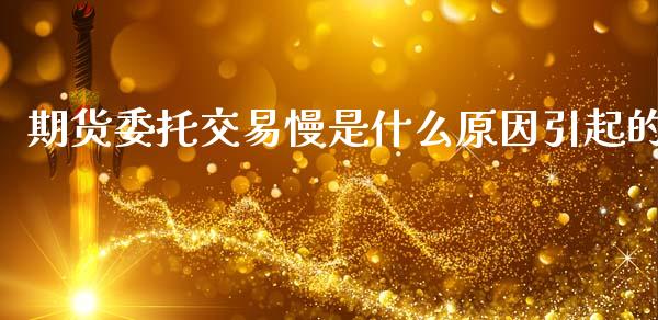 期货委托交易慢是什么原因引起的_https://m.letulww.com_期货开户保证金_第1张