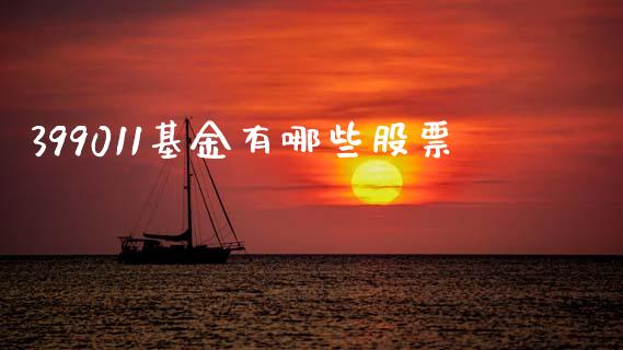 399011基金有哪些股票_https://m.letulww.com_期货交易软件_第1张