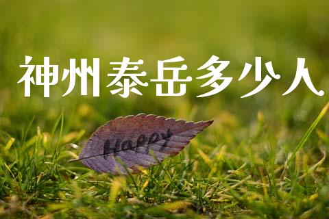 神州泰岳多少人_https://m.letulww.com_期货开户保证金_第1张