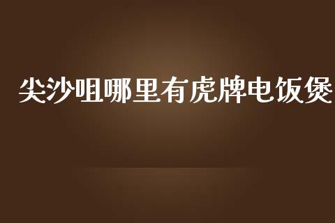 尖沙咀哪里有虎牌电饭煲_https://m.letulww.com_期货交易策略_第1张