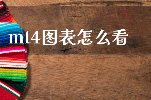 mt4图表怎么看_https://m.letulww.com_股指期货交易时间_第1张