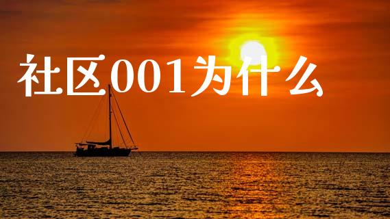 社区001为什么_https://m.letulww.com_期货交易策略_第1张