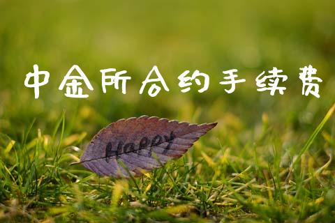 中金所合约手续费_https://m.letulww.com_股指期货交易时间_第1张