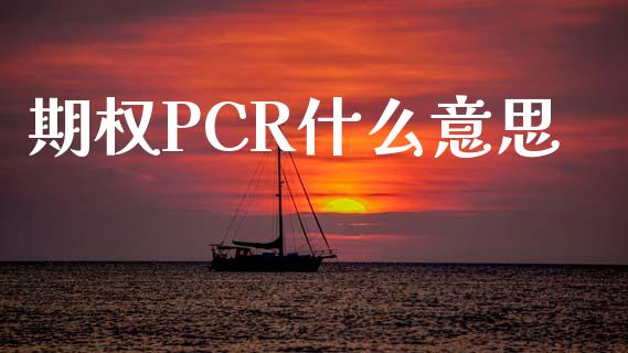 期权PCR什么意思_https://m.letulww.com_期货开户保证金_第1张