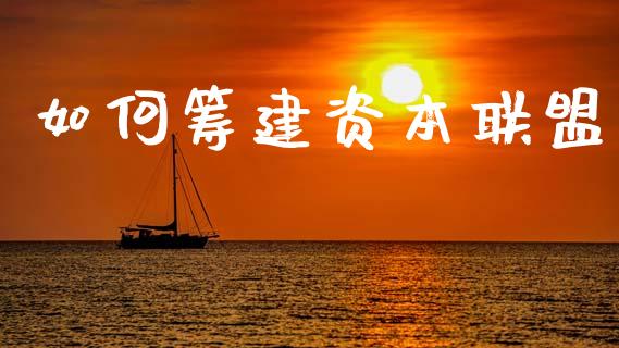 如何筹建资本联盟_https://m.letulww.com_期货交易策略_第1张