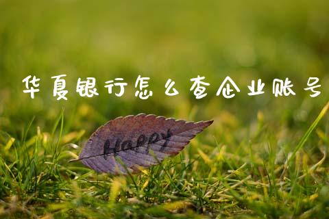 华夏银行怎么查企业账号_https://m.letulww.com_期货交易策略_第1张