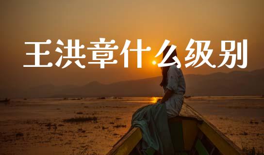 王洪章什么级别_https://m.letulww.com_期货交易软件_第1张