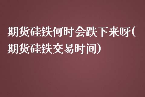 期货硅铁何时会跌下来呀(期货硅铁交易时间)_https://m.letulww.com_期货交易策略_第1张