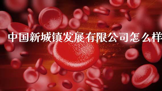 中国新城镇发展有限公司怎么样_https://m.letulww.com_股指期货交易时间_第1张