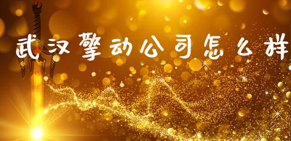 武汉擎动公司怎么样_https://m.letulww.com_期货开户保证金_第1张
