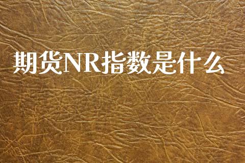 期货NR指数是什么_https://m.letulww.com_股指期货交易时间_第1张