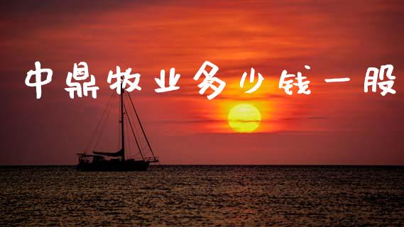 中鼎牧业多少钱一股_https://m.letulww.com_期货交易软件_第1张