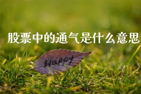 股票中的通气是什么意思_https://m.letulww.com_期货交易软件_第1张