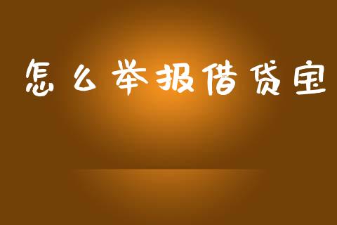 怎么举报借贷宝_https://m.letulww.com_期货开户保证金_第1张
