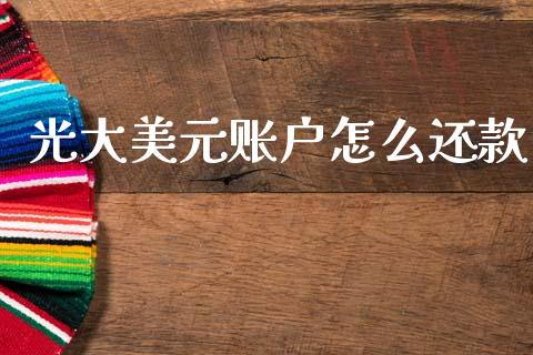 光大美元账户怎么还款_https://m.letulww.com_股指期货交易时间_第1张