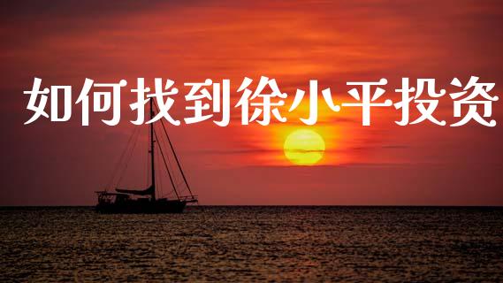 如何找到徐小平投资_https://m.letulww.com_期货交易软件_第1张