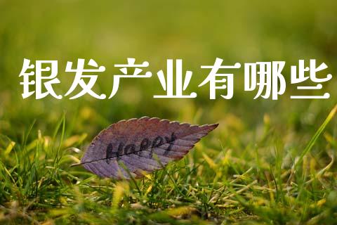 银发产业有哪些_https://m.letulww.com_股指期货交易时间_第1张