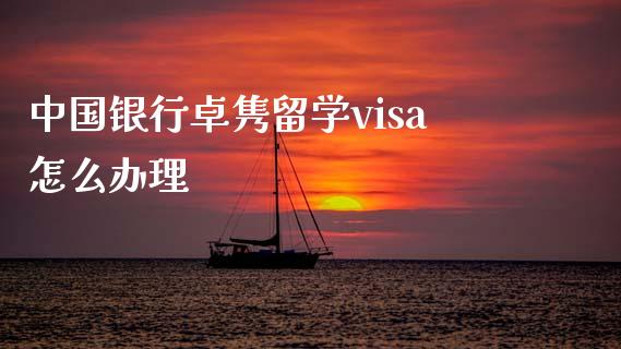 中国银行卓隽留学visa怎么办理_https://m.letulww.com_股指期货交易时间_第1张