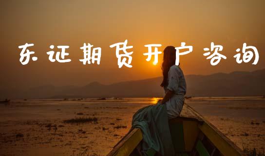 东证期货开户咨询_https://m.letulww.com_期货交易策略_第1张
