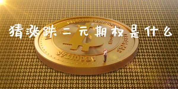 猜涨跌二元期权是什么_https://m.letulww.com_股指期货交易时间_第1张