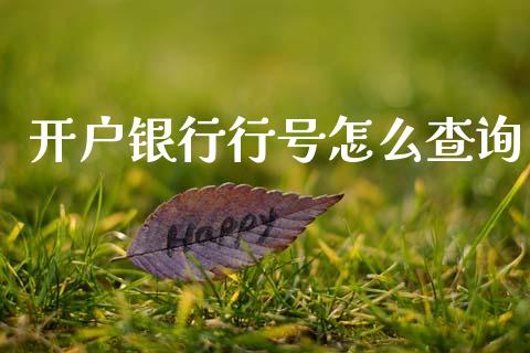 开户银行行号怎么查询_https://m.letulww.com_期货开户保证金_第1张