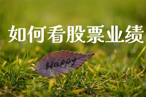 如何看股票业绩_https://m.letulww.com_股指期货交易时间_第1张