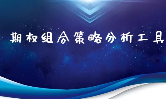 期权组合策略分析工具_https://m.letulww.com_股指期货交易时间_第1张