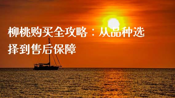 柳桃购买全攻略：从品种选择到售后保障_https://m.letulww.com_股指期货交易时间_第1张