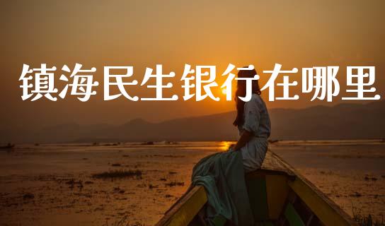 镇海民生银行在哪里_https://m.letulww.com_期货开户保证金_第1张
