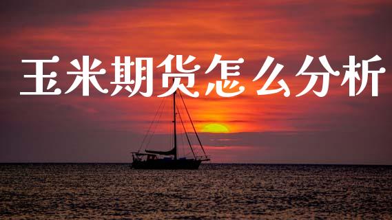 玉米期货怎么分析_https://m.letulww.com_期货交易软件_第1张