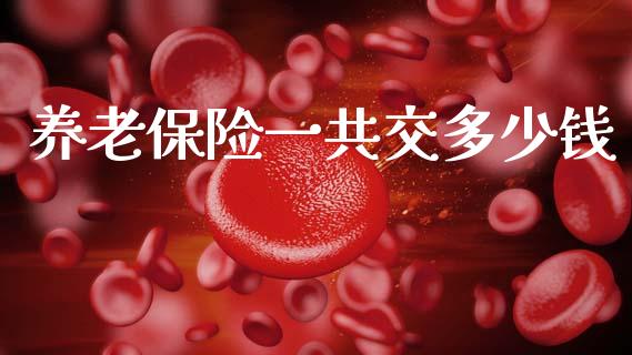 养老保险一共交多少钱_https://m.letulww.com_股指期货交易时间_第1张