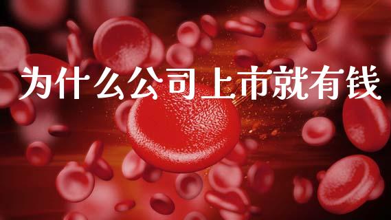 为什么公司上市就有钱_https://m.letulww.com_期货交易软件_第1张