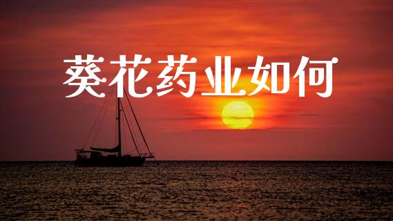葵花药业如何_https://m.letulww.com_股指期货交易时间_第1张