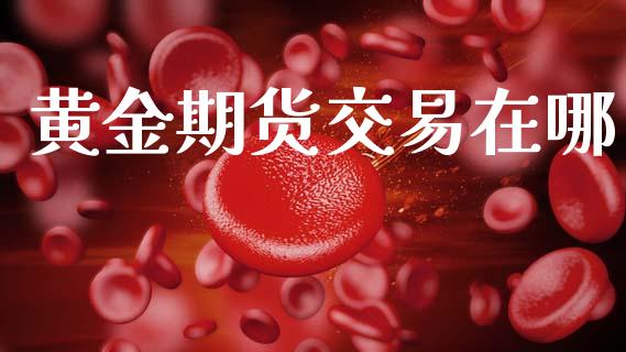 黄金期货交易在哪_https://m.letulww.com_股指期货交易时间_第1张