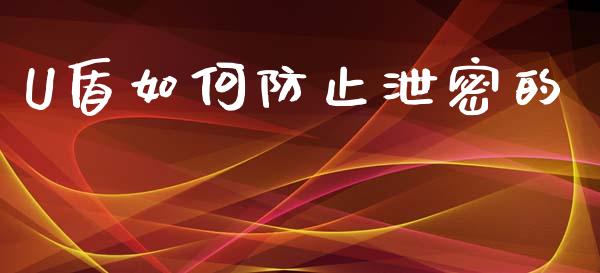 U盾如何防止泄密的_https://m.letulww.com_期货开户保证金_第1张