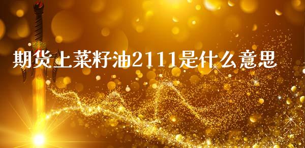 期货上菜籽油2111是什么意思_https://m.letulww.com_期货开户保证金_第1张