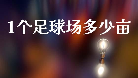 1个足球场多少亩_https://m.letulww.com_期货交易策略_第1张