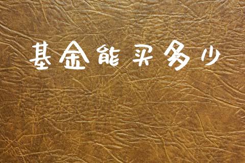 基金能买多少_https://m.letulww.com_股指期货交易时间_第1张