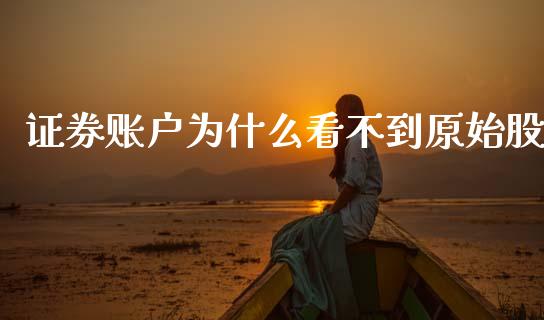 证券账户为什么看不到原始股_https://m.letulww.com_股指期货交易时间_第1张
