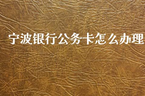 宁波银行公务卡怎么办理_https://m.letulww.com_股指期货交易时间_第1张
