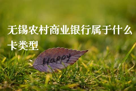 无锡农村商业银行属于什么卡类型_https://m.letulww.com_期货交易软件_第1张