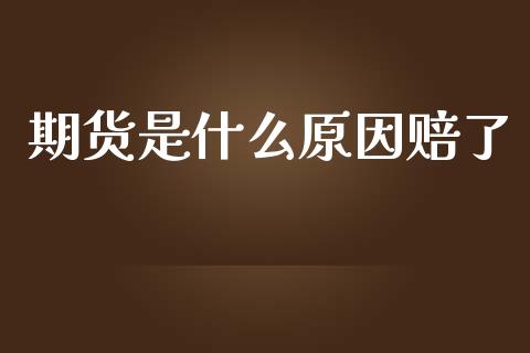 期货是什么原因赔了_https://m.letulww.com_期货开户保证金_第1张