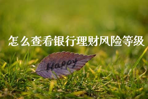 怎么查看银行理财风险等级_https://m.letulww.com_期货开户保证金_第1张