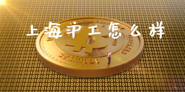 上海沪工怎么样_https://m.letulww.com_期货交易策略_第1张