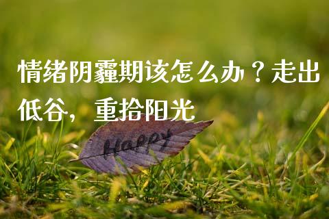 情绪阴霾期该怎么办？走出低谷，重拾阳光_https://m.letulww.com_期货开户保证金_第1张