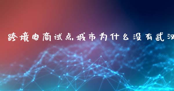 跨境电商试点城市为什么没有武汉_https://m.letulww.com_期货开户保证金_第1张