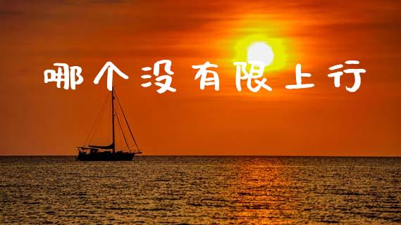哪个没有限上行_https://m.letulww.com_期货交易策略_第1张