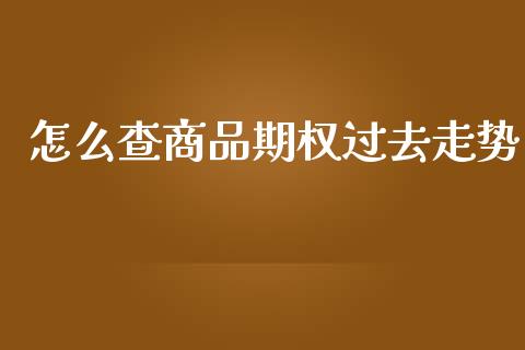 怎么查商品期权过去走势_https://m.letulww.com_股指期货交易时间_第1张