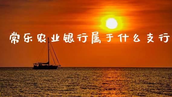 常乐农业银行属于什么支行_https://m.letulww.com_期货开户保证金_第1张
