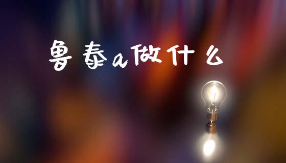 鲁泰a做什么_https://m.letulww.com_期货交易软件_第1张